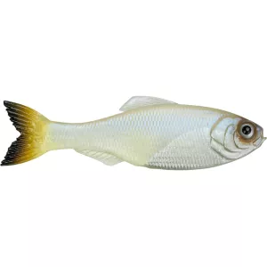 6th Sense Panorama 2.8" Jerkbait Pro Blue