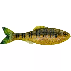 6th Sense Panorama 2" Jerkbait Live Sunfish