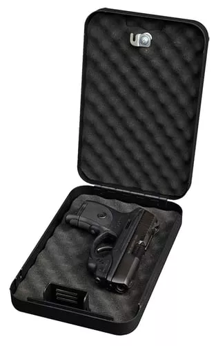 Bulldog Personal Vault with Key Lock