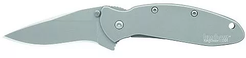 Kershaw Scallion Drop Point Folder Knife w/Partially Serrated Edge & Stainless Handl 1620FL